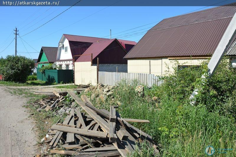 Рудбекия и абрикосы украшают двор на улице Серова в Аткарске (ФОТОРЕПОРТАЖ)