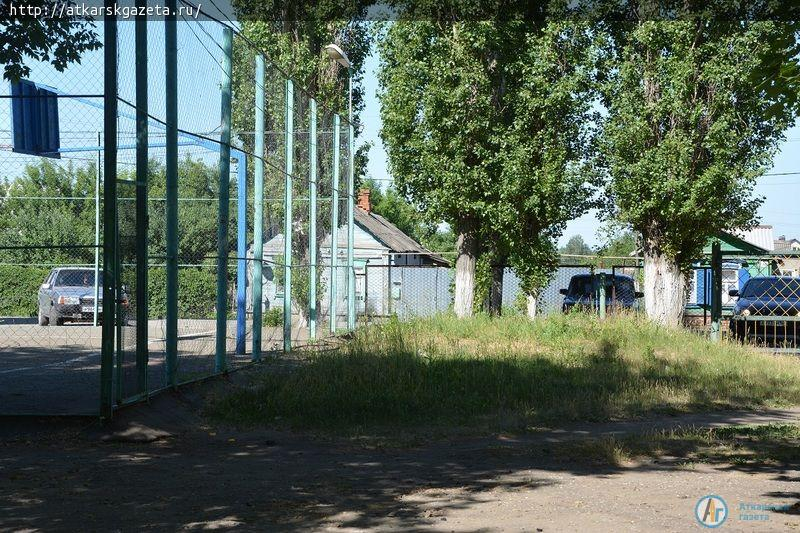 Рудбекия и абрикосы украшают двор на улице Серова в Аткарске (ФОТОРЕПОРТАЖ)