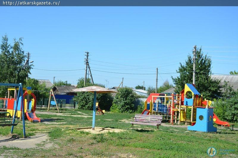 Рудбекия и абрикосы украшают двор на улице Серова в Аткарске (ФОТОРЕПОРТАЖ)