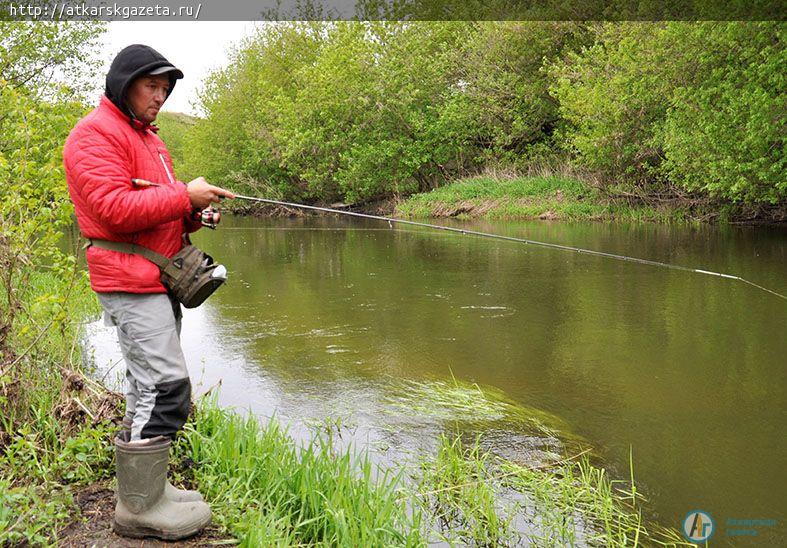 Рыбаки из Волгограда, Пензы и Саратова соревнуются на Медведице (ФОТОРЕПОРТАЖ)