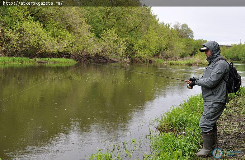 Рыбаки из Волгограда, Пензы и Саратова соревнуются на Медведице (ФОТОРЕПОРТАЖ)