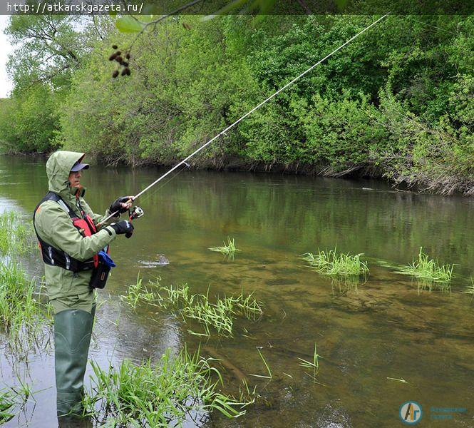 Рыбаки из Волгограда, Пензы и Саратова соревнуются на Медведице (ФОТОРЕПОРТАЖ)