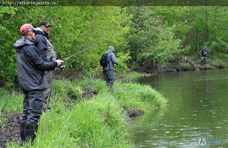 Рыбаки из Волгограда, Пензы и Саратова соревнуются на Медведице (ФОТОРЕПОРТАЖ)