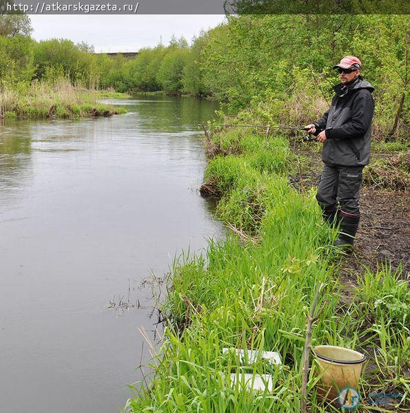 Рыбаки из Волгограда, Пензы и Саратова соревнуются на Медведице (ФОТОРЕПОРТАЖ)