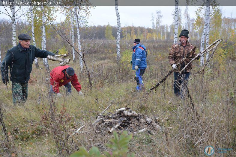 Сегодня трудовой десант приступил к расчистке придорожных лесополос