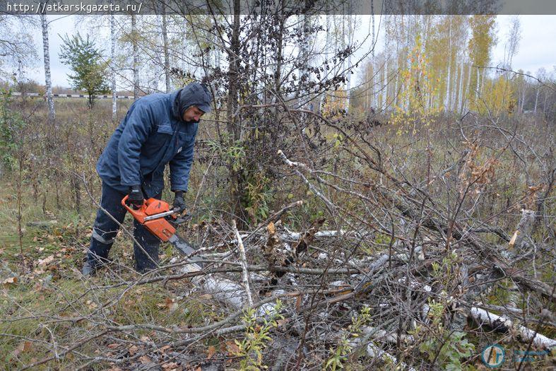 Сегодня трудовой десант приступил к расчистке придорожных лесополос