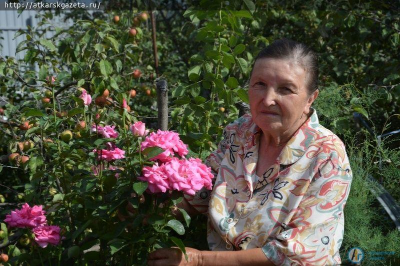Секрет аткарских роз раскрыла известный аткарский агроном и розовод Зинаида ЖДАНКИНА (ФОТО)