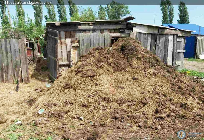 Сельчане не желают следить за своими сливными ямами (ФОТО)