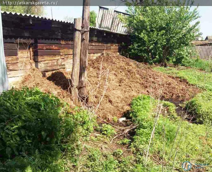 Сельчане не желают следить за своими сливными ямами (ФОТО)