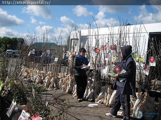 Семена и саженцы плодовых культур на аткарском рынке на 100% отечественного производства