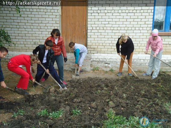 Школьники села Земляные Хутора собрали отличный урожай свеклы и моркови (ФОТО)