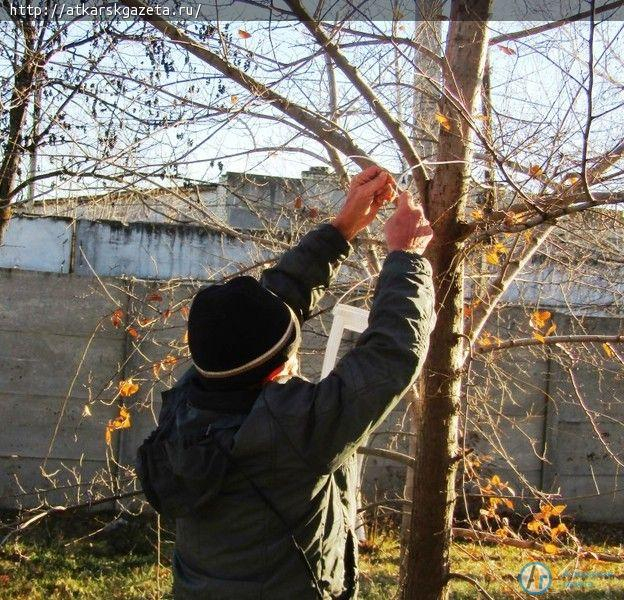 «Синичкин день» отметили в доме-интернате для престарелых и инвалидов