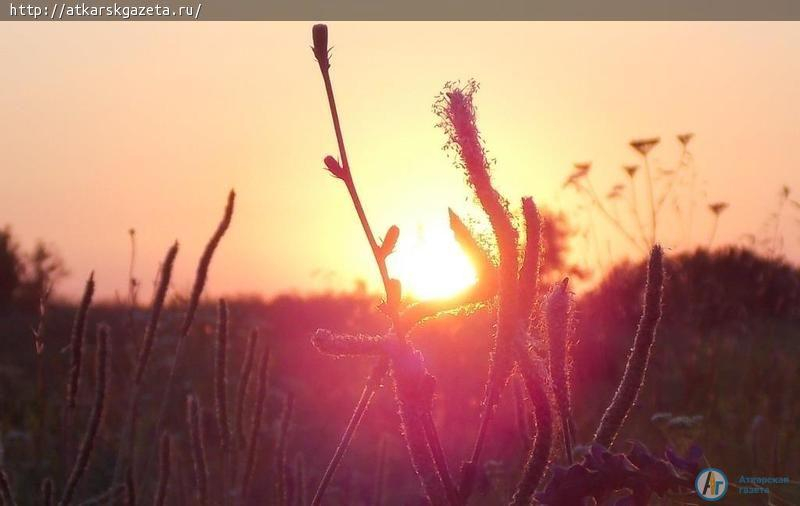 Синоптики обещают аткарчанам жаркую рабочую неделю