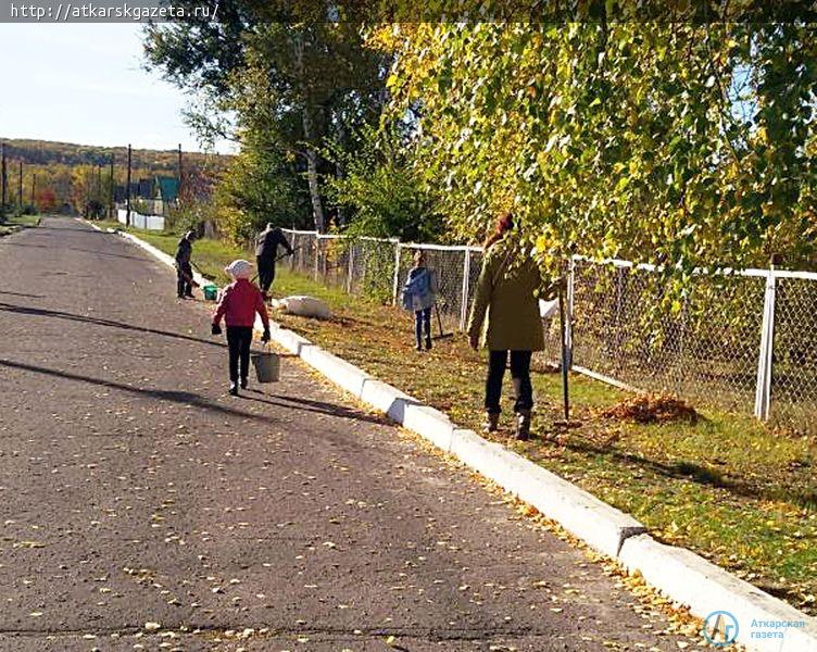 Сотрудники «Березки» помогают молодым деревьям пережить зиму