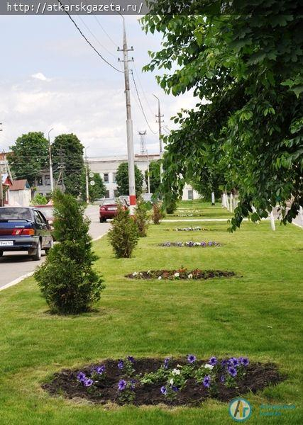 Советскую признали лучшей улицей в райцентрах Саратовской губернии (ФОТО)