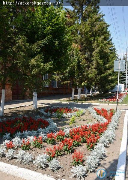 Советскую признали лучшей улицей в райцентрах Саратовской губернии (ФОТО)