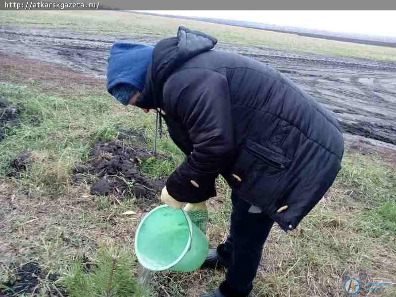 Субботник прошел на территории Ломовского родника