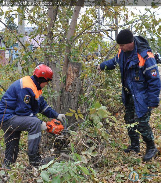 Трудовой десант очистил от поросли обочины улицы Луначарского (ФОТО)