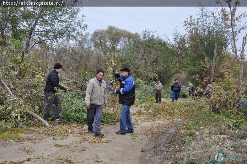 Трудовой десант очистил от поросли обочины улицы Луначарского (ФОТО)