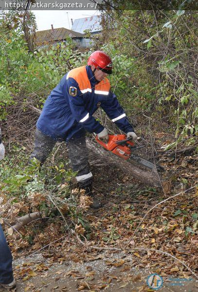 Трудовой десант очистил от поросли обочины улицы Луначарского (ФОТО)