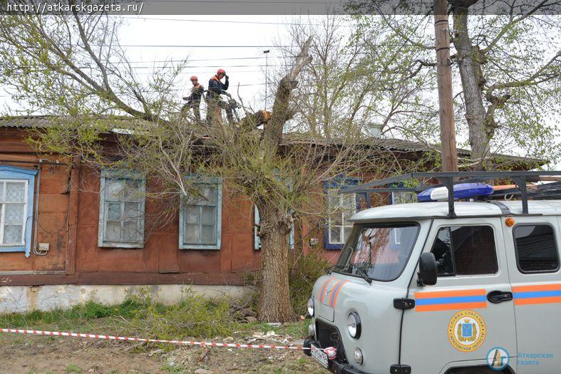 Трухлявый вяз проломил крышу жилого дома на улице Революционной в Аткарске (ФОТО)