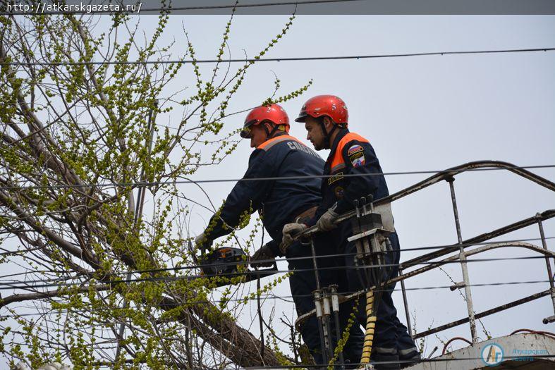 Трухлявый вяз проломил крышу жилого дома на улице Революционной в Аткарске (ФОТО)