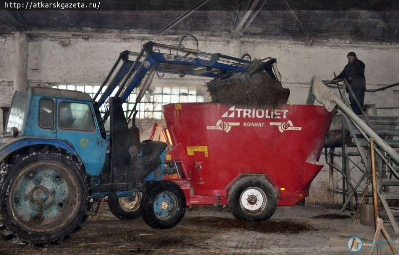 Учхоз «Муммовское» продолжает кормить коров винегретом (ФОТО)