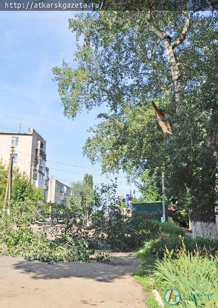 Упавшее  дерево оставило без электричества жилой квартал Аткарска