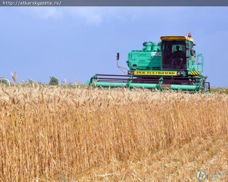 Урожайность озимой пшеницы подпрыгнула выше 40 центнеров