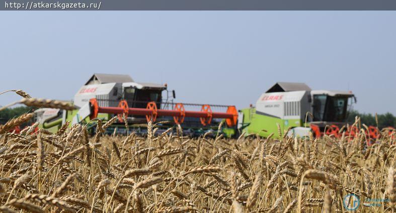 Урожайность озимой пшеницы подпрыгнула выше 40 центнеров