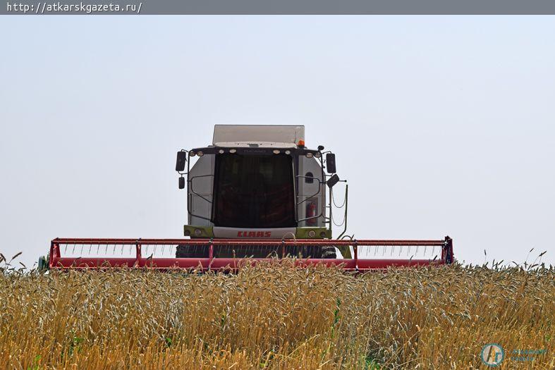 Урожайность озимой пшеницы подпрыгнула выше 40 центнеров