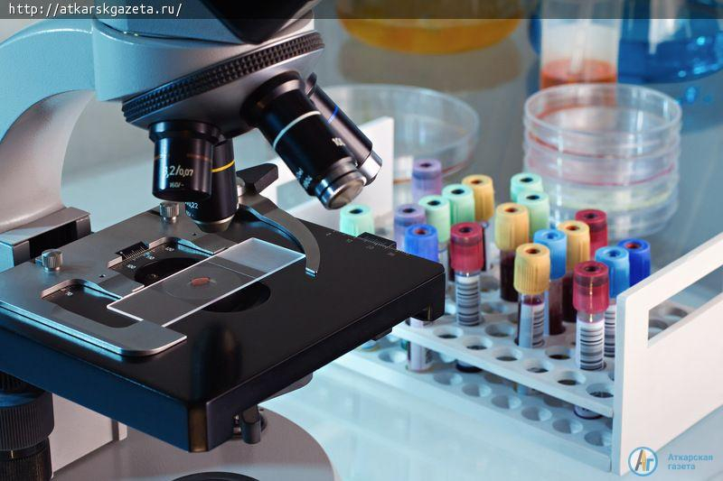 В 2017 году от бешеных животных пострадало 11 аткарчан