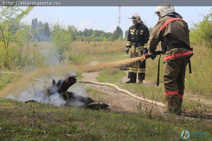 В Аткарске министр рассказал о новых технологиях предотвращения лесных пожаров
