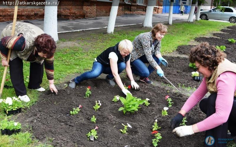 В Аткарске началась массовая высадка цветов (ФОТО)