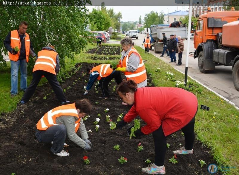 В Аткарске началась массовая высадка цветов (ФОТО)