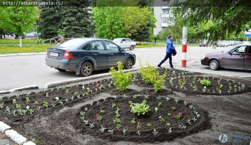В Аткарске началась массовая высадка цветов (ФОТО)