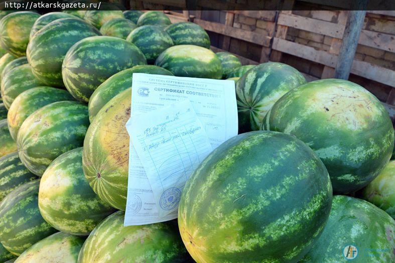 В Аткарске разрешение на торговлю арбузами имеют только две торговые точки