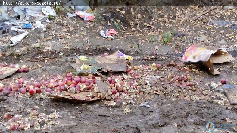 В Аткарске уничтожили 30 кг санкционных яблок (ФОТО)