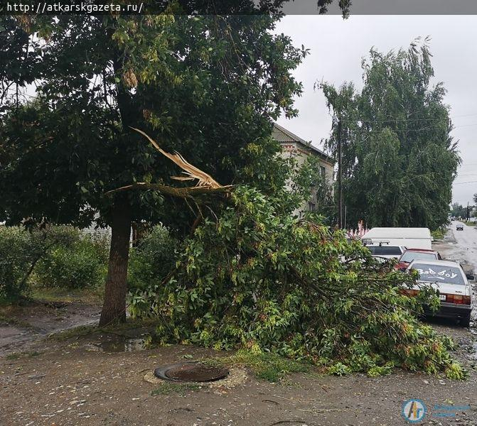 В Аткарске ураганный ветер валит деревья