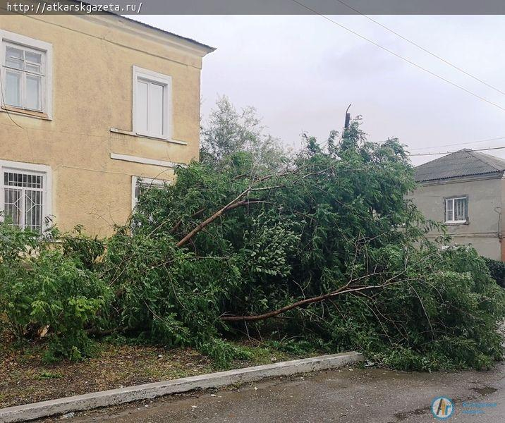 В Аткарске ураганный ветер валит деревья