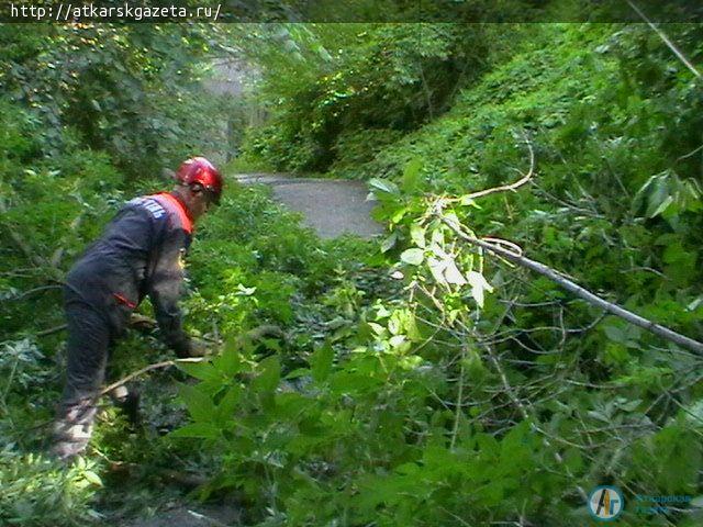 В Аткарске ветер валил деревья и рвал провода