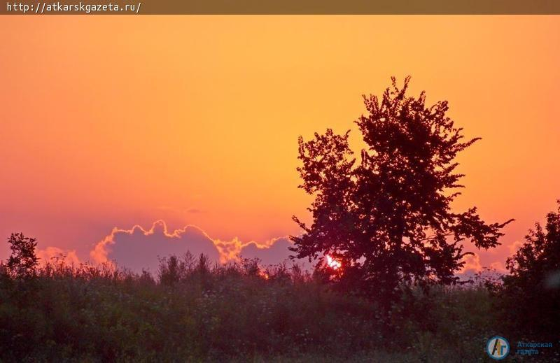 В Аткарский район идет 33-градусная жара