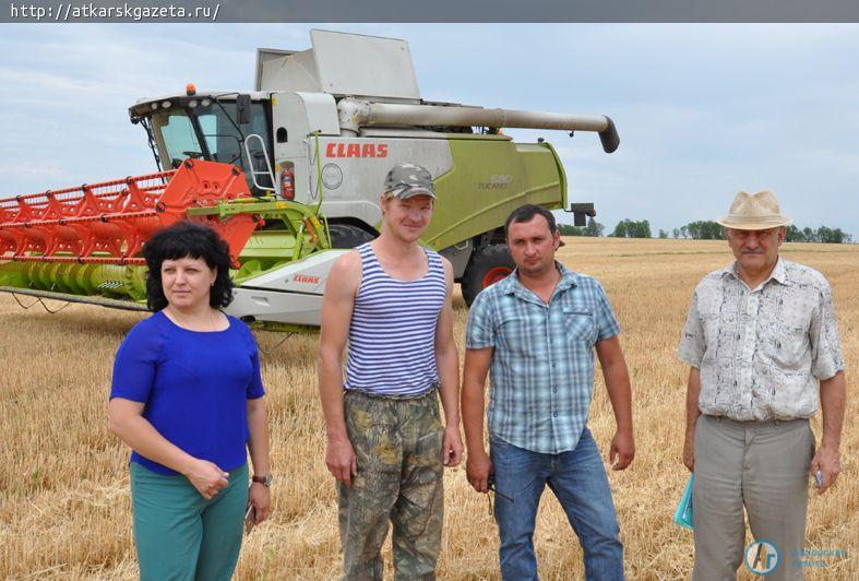 В Аткарском районе началась уборка озимой пшеницы