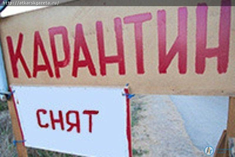 В Аткарском районе снят карантин по бешенству и АЧС свиней
