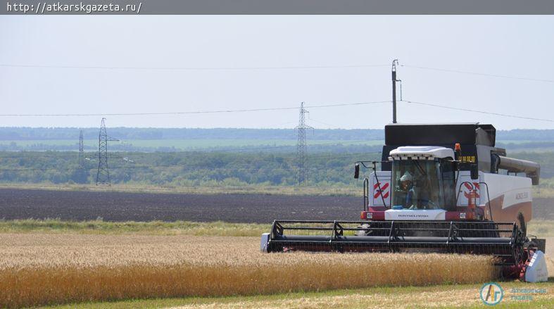 В Аткарском районе стартовала уборочная кампания
