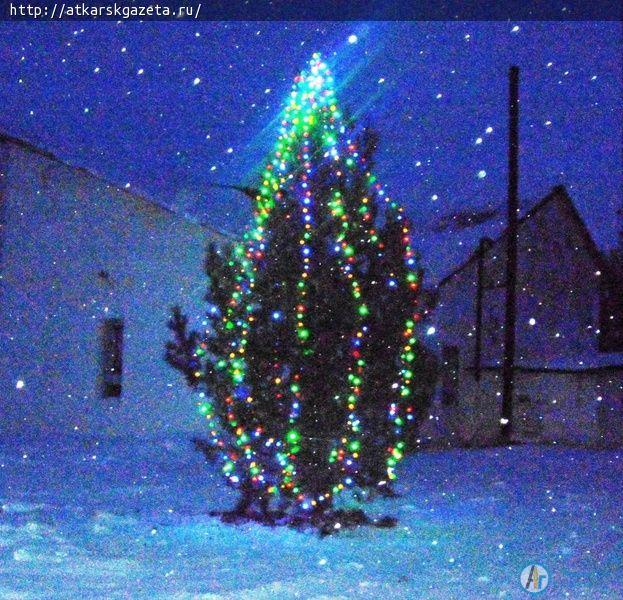 В центре села Даниловка впервые зажглась огнями новогодняя елка