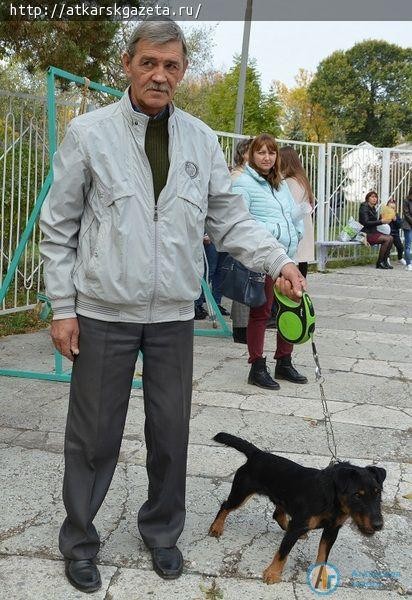 В День города аткарчане восхищались и аплодировали собакам