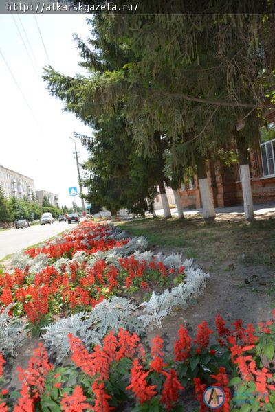 В День города награды получат победители городских конкурсов по благоустройству (ФОТО)