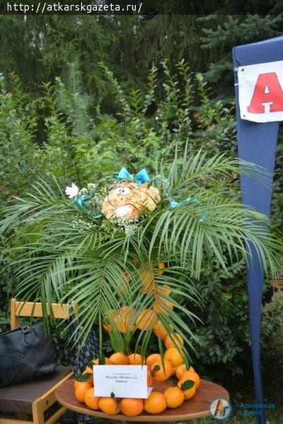 В День города выставку «Аткарские розы» посетило более тысячи аткарчан (ФОТО)