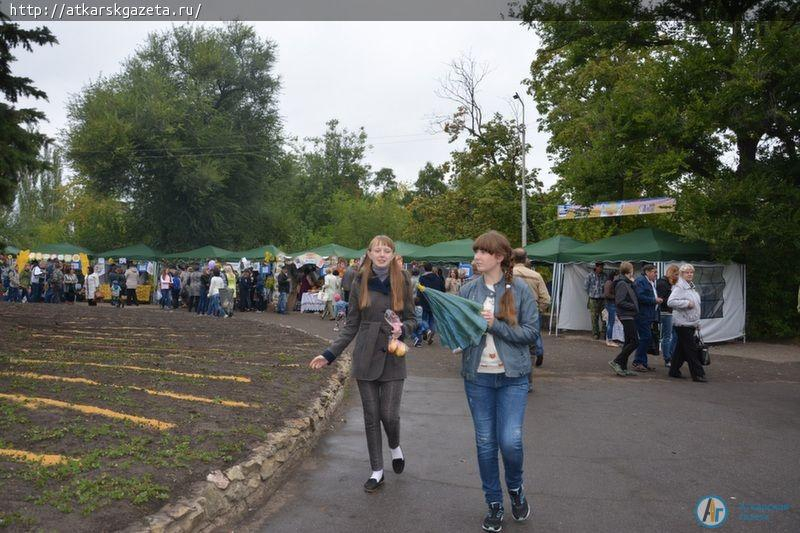 В День города выставку «Аткарские розы» посетило более тысячи аткарчан (ФОТО)
